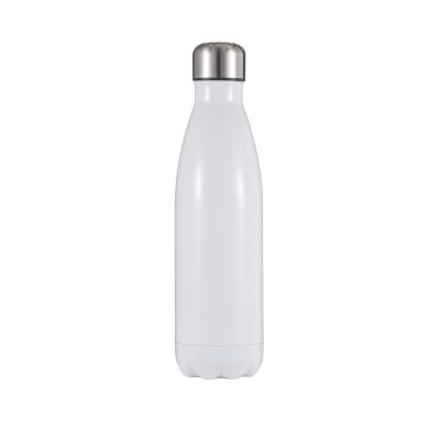 Insulated Stainless Steel Reusable Drink Bottle with SS Lid & Handle