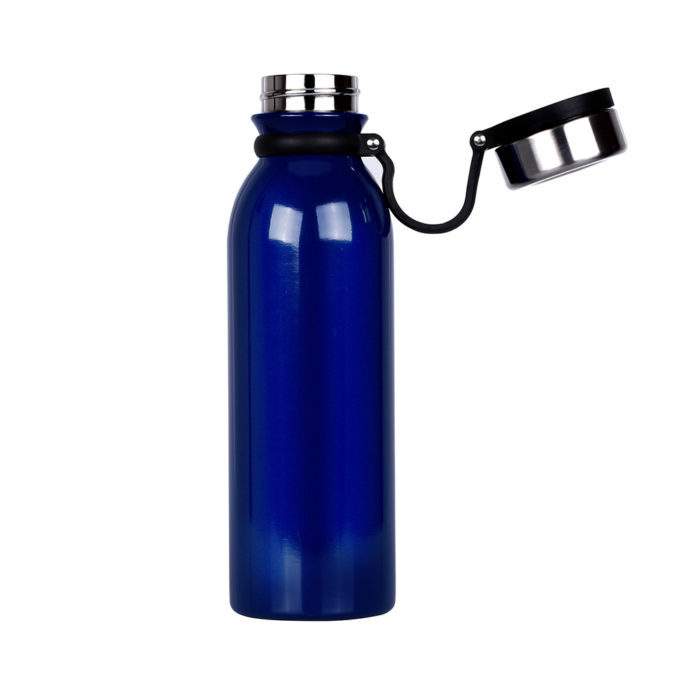 insulated water bottle with handle