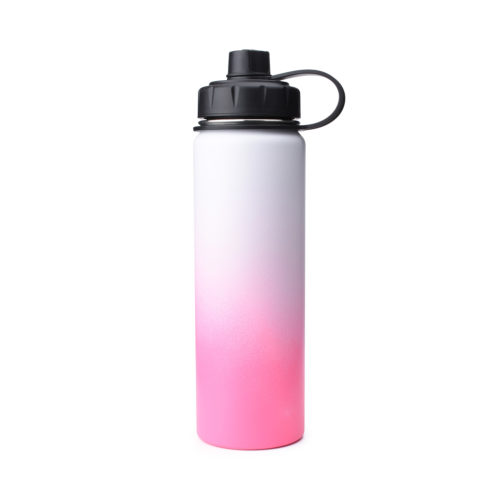 stainless steel water bottle with spout lid