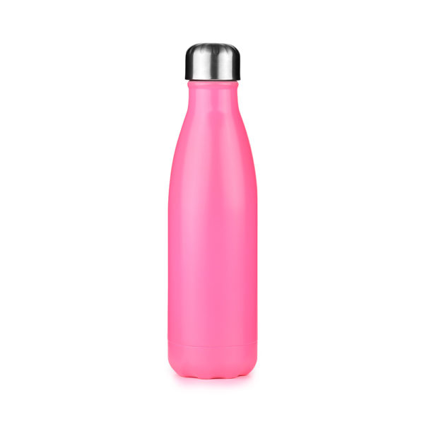 Insulated Stainless Steel Reusable Drink Bottle with SS Lid & Handle