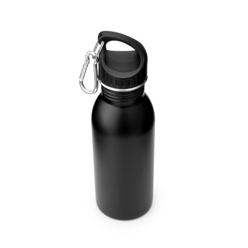 stainless steel water bottle with carabiner