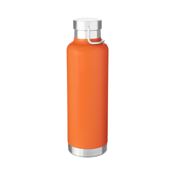 Insulated Stainless Steel Reusable Drink Bottle with SS Lid & Handle