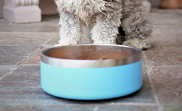 Custom Dog Bowls Wholesale from $3.69