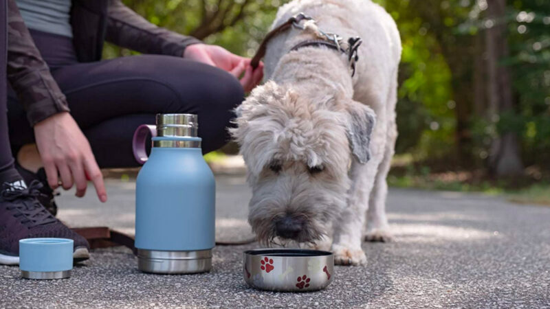 wholesale custom Asobu dog bowl water bottle