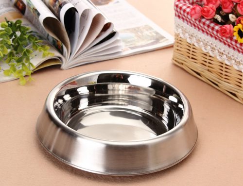 Pet Pleasers: The Best Gifts for Your Four-Legged Companions