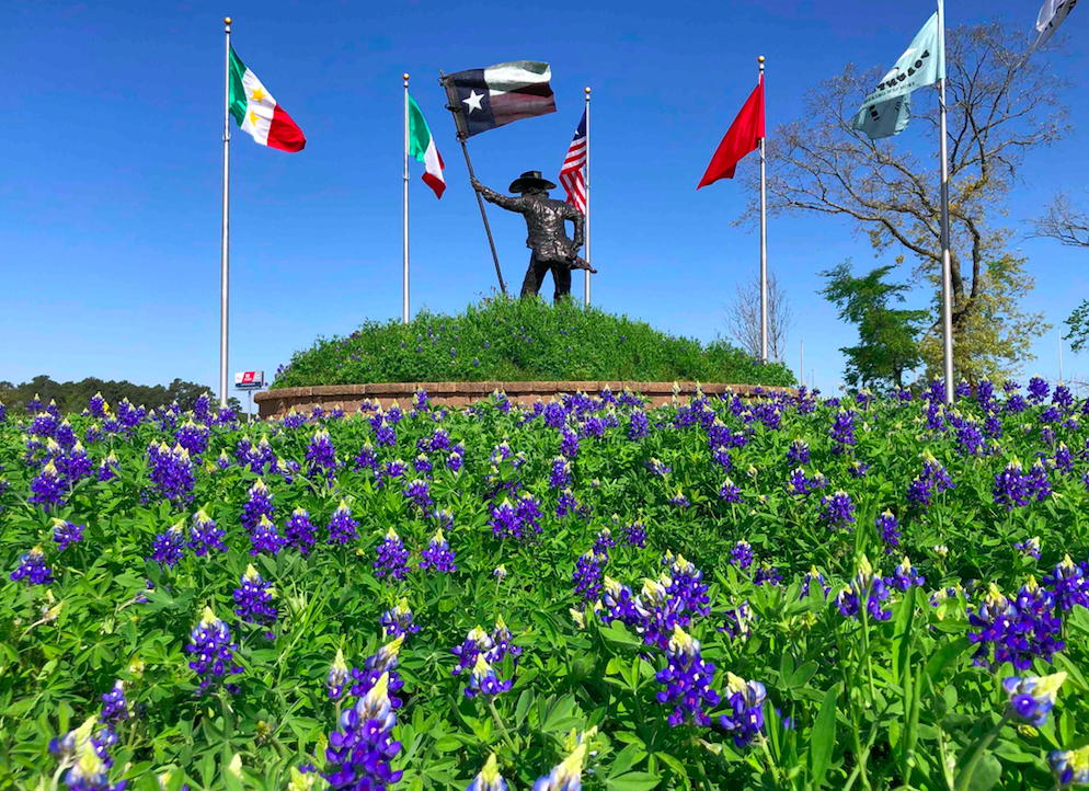 historical lone star monument