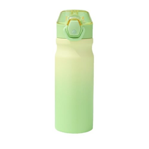 Stainless Steel Insulated Water Bottle with Silicone Straw And Lockable Flip Lid