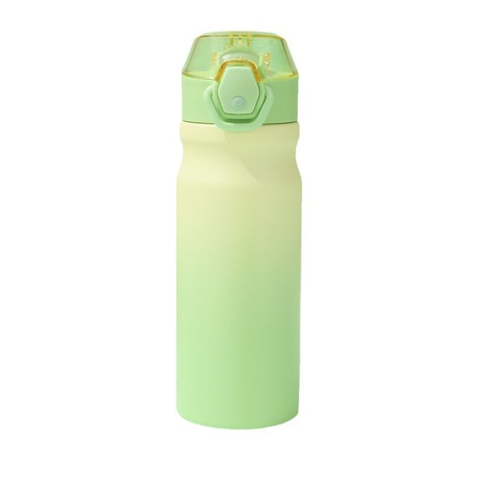 Stainless Steel Insulated Water Bottle with Silicone Straw And Lockable Flip Lid