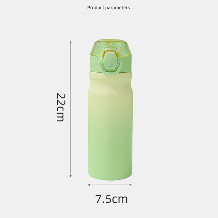 Stainless Steel Insulated Water Bottle with Silicone Straw And Lockable Flip Lid